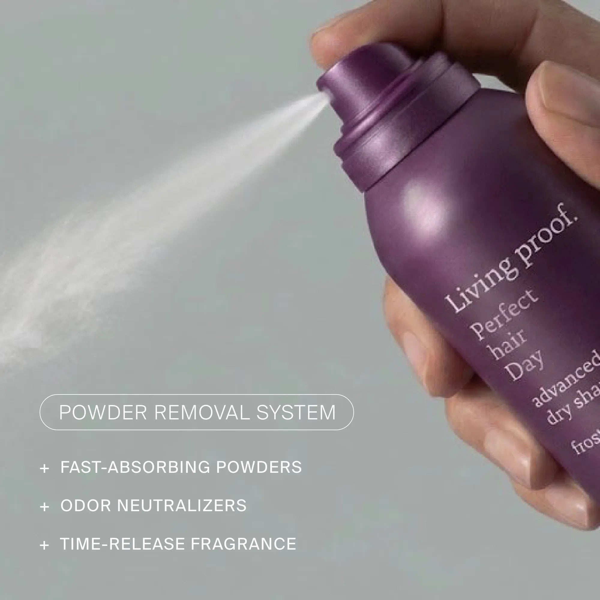 Perfect hair Day™ Frosted Fig Advanced Clean Dry Shampoo - Image 10