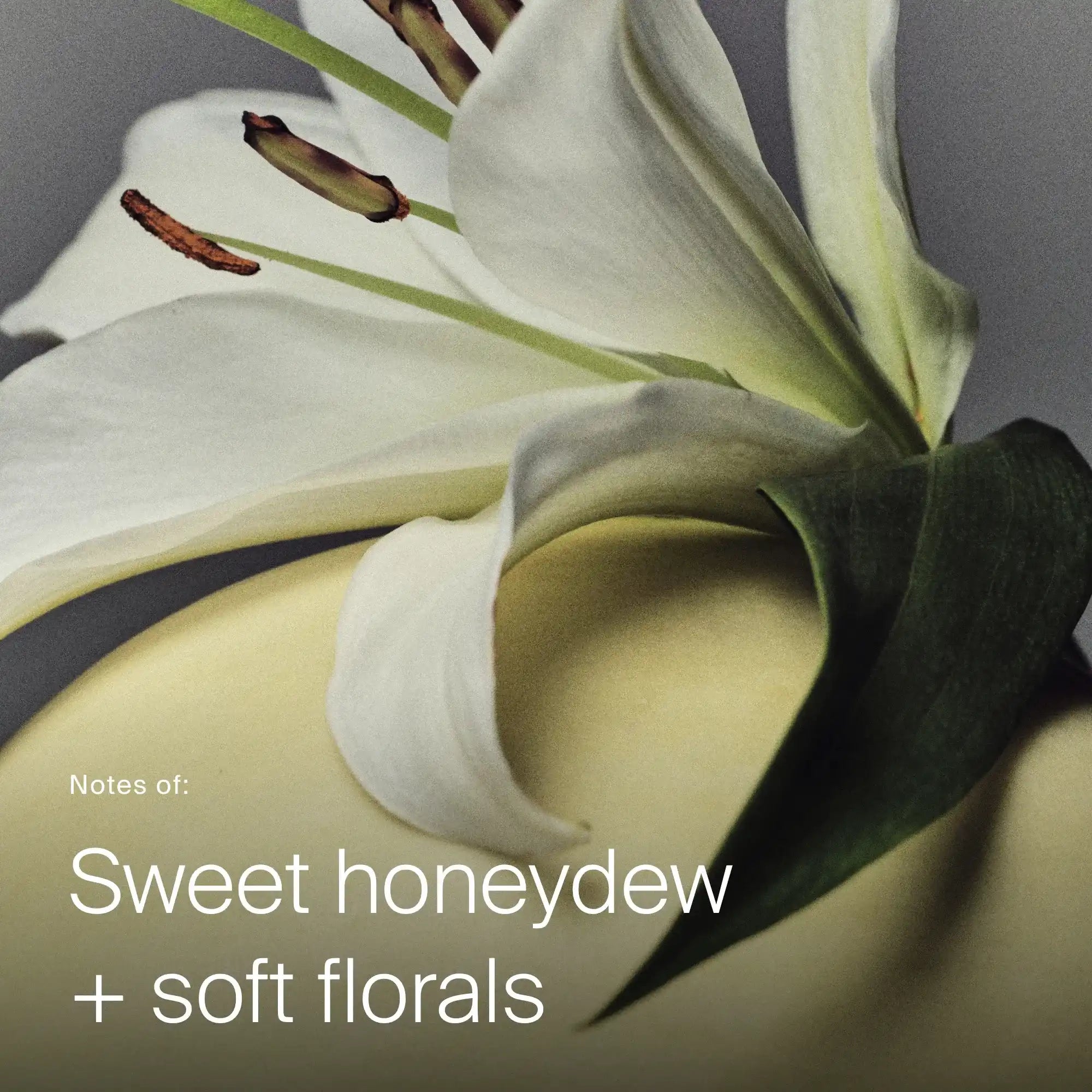 Full Dry Volume & Texture Spray - Image 7
